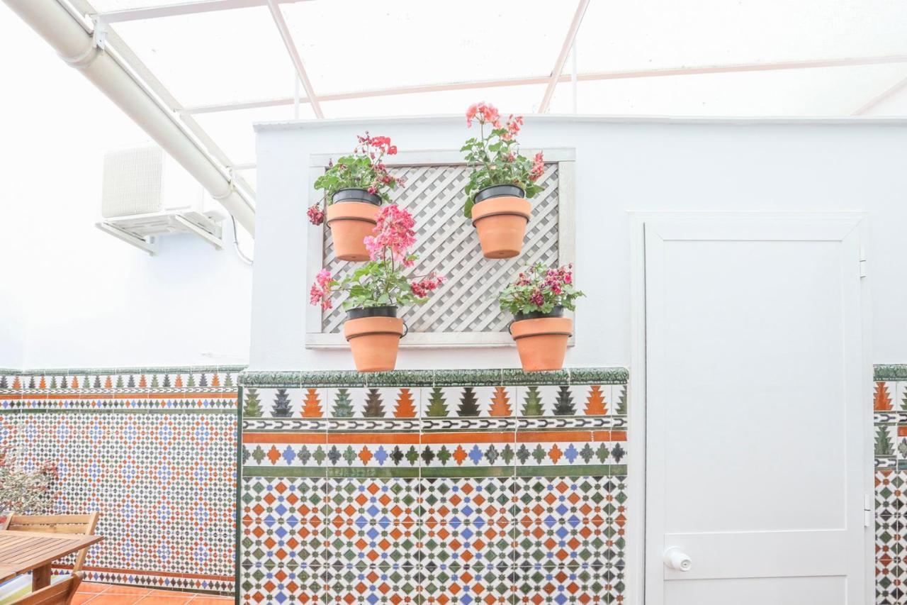 Sol Appartement *